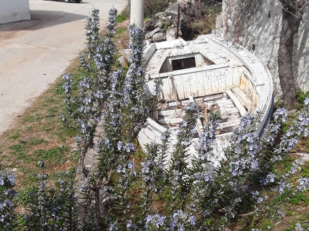 Adorable Summer House By The Sea Zapuntel Dış mekan fotoğraf